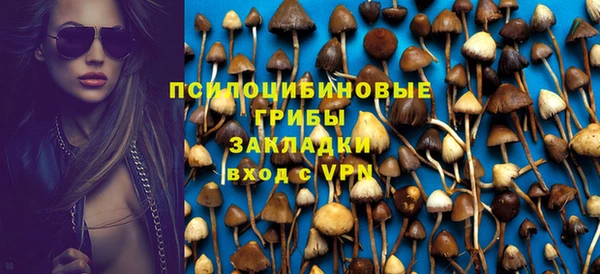 гашик Алексеевка