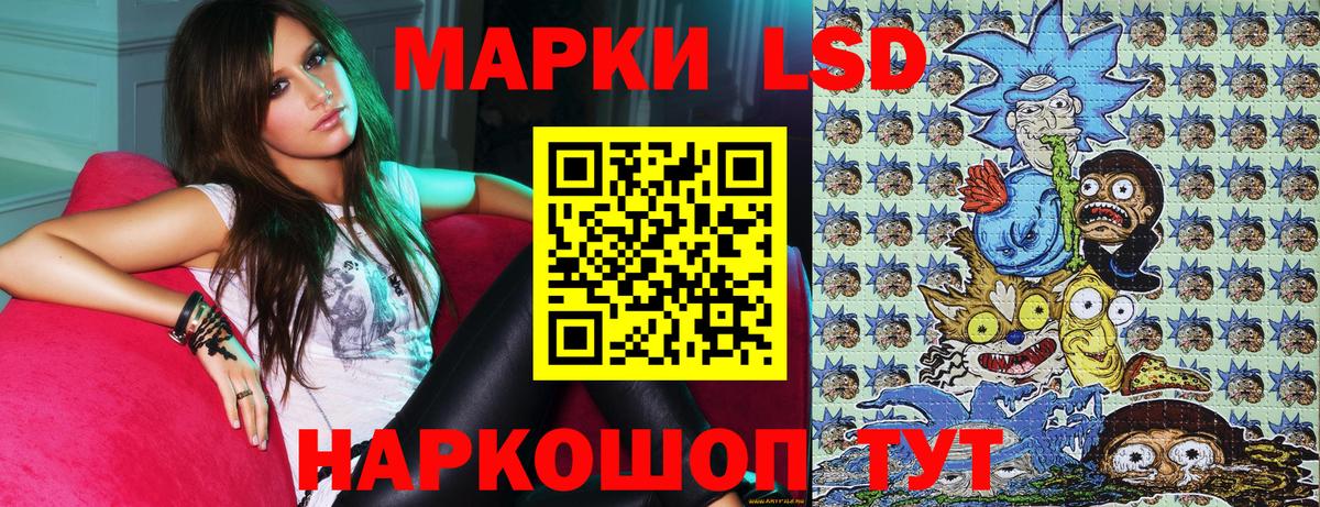 Галлюциногенные грибы Новозыбков