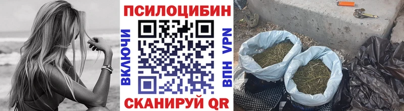 Псилоцибиновые грибы мицелий  Новозыбков 