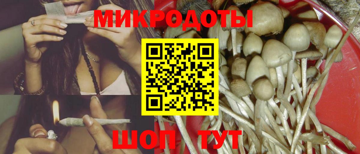 Псилоцибиновые грибы мухоморы Новозыбков